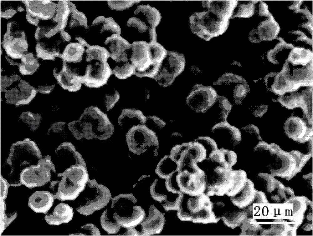 Preparation method of spherical nickel hydroxide used as battery cathode material