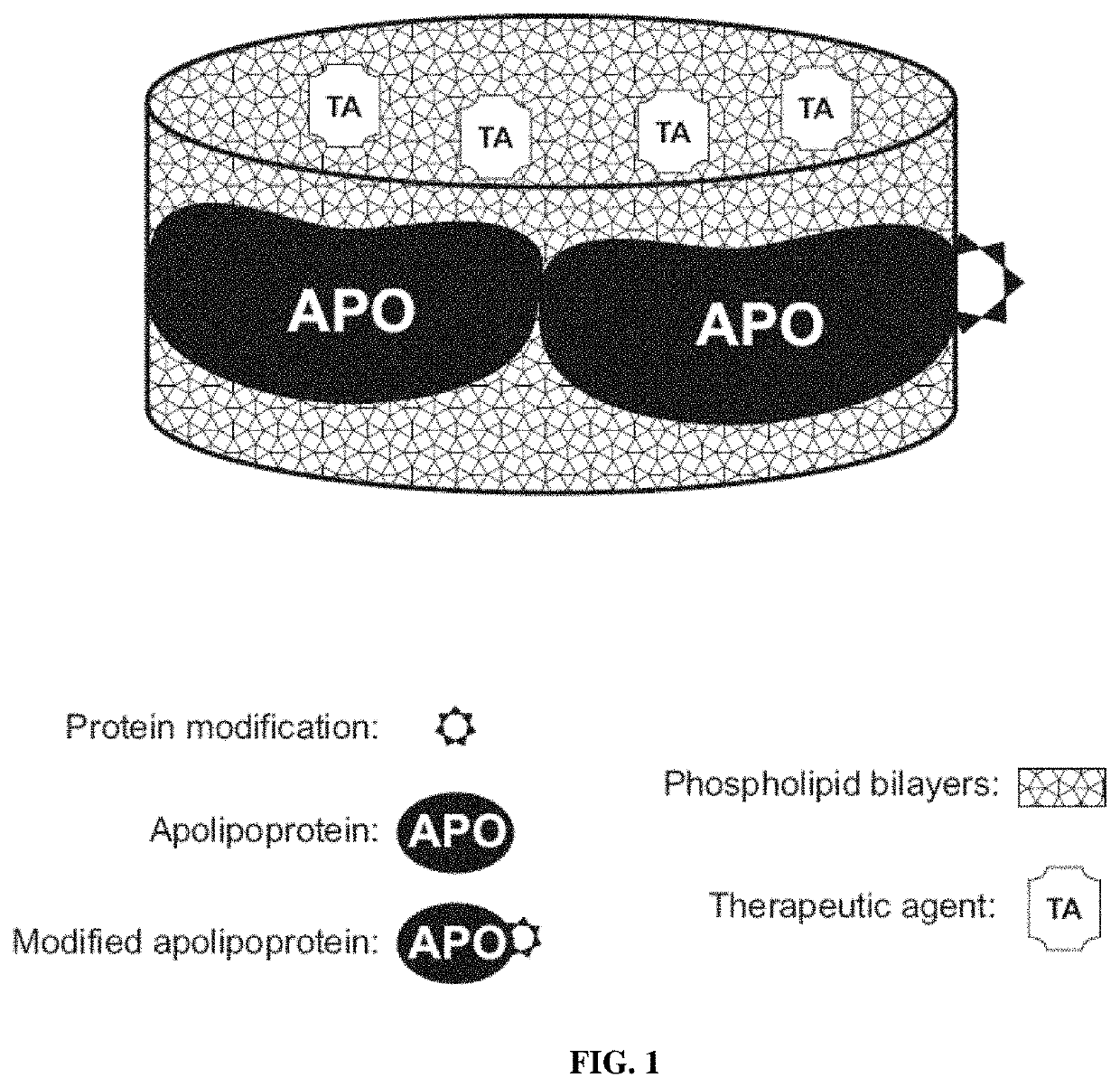 Methods and compositions for targeted delivery of protein fragments