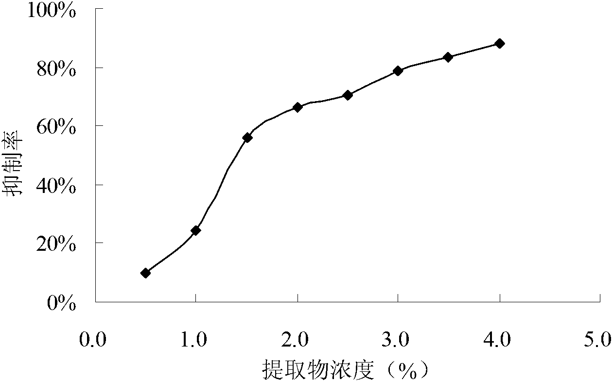 Skin care composition with skin whitening and moisturizing efficacies as well as preparation method and applications thereof