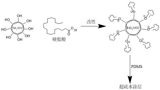 Method for preparing superhydrophobic coating by nano-crystalline cellulose template method