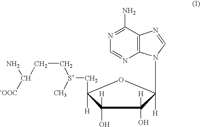 Stable granulates containing S-adenosylmethionine and process for the preparation thereof