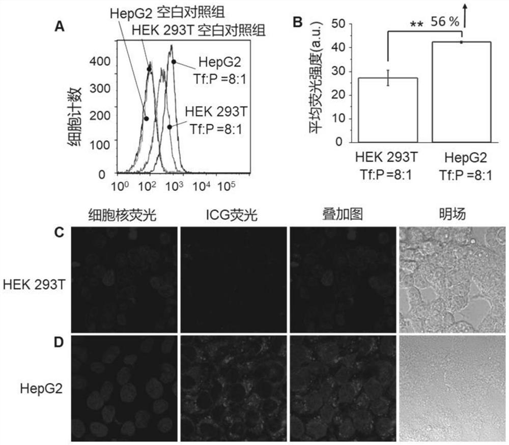 A kind of antibody conjugate containing boron ester unit polymer and its construction method