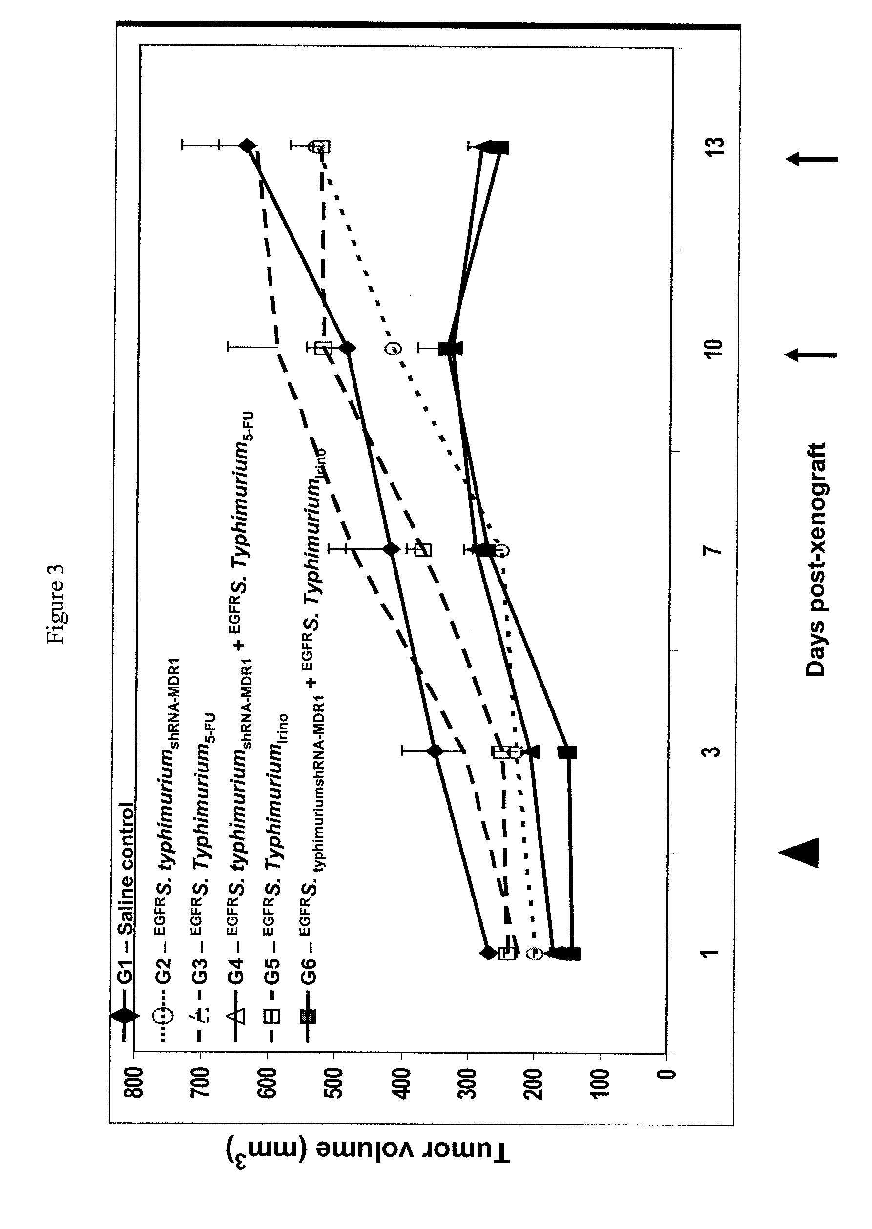 Targeted delivery of drugs, therapeutic nucleic acids and functional nucleic acids to mammalian cells via intact killed bacterial cells