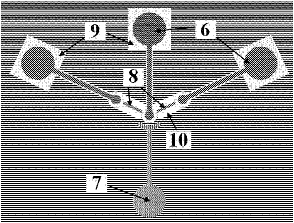 Brain-like device capable of carrying out memory enhancement and cognitive identification of nerve cells, and preparation method thereof