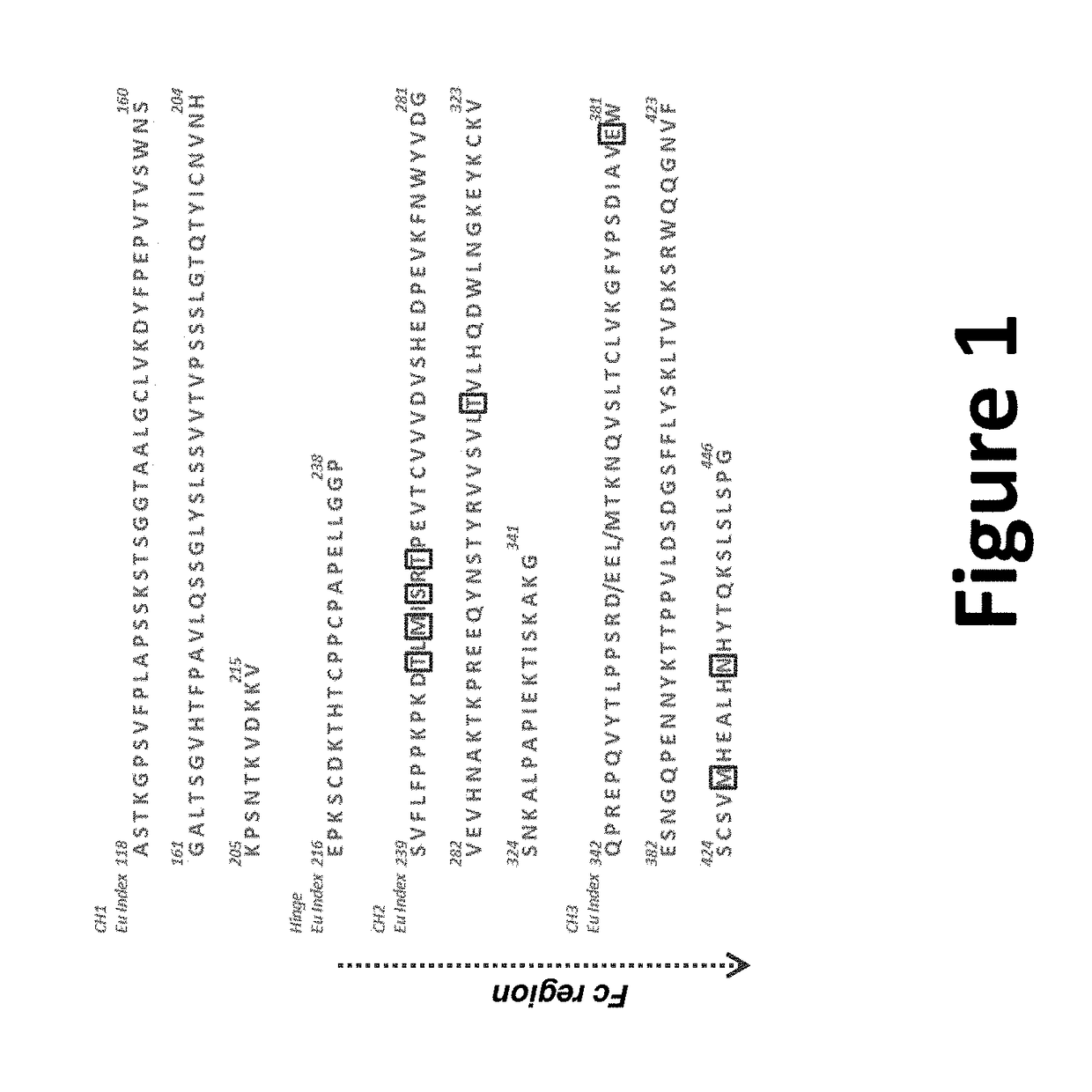 Anti-chikv antibodies and uses thereof