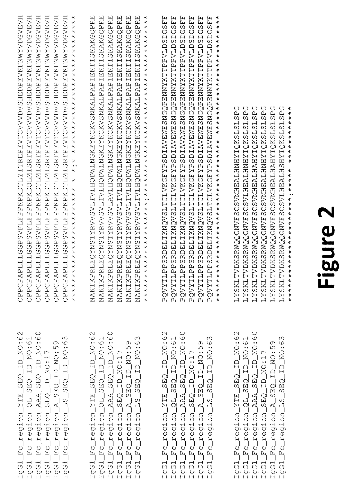 Anti-chikv antibodies and uses thereof