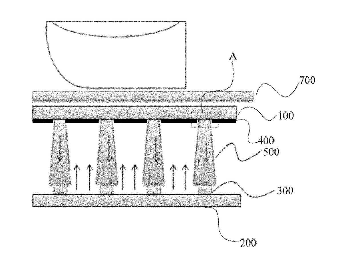 Optical fingerprint identification display screen and display device