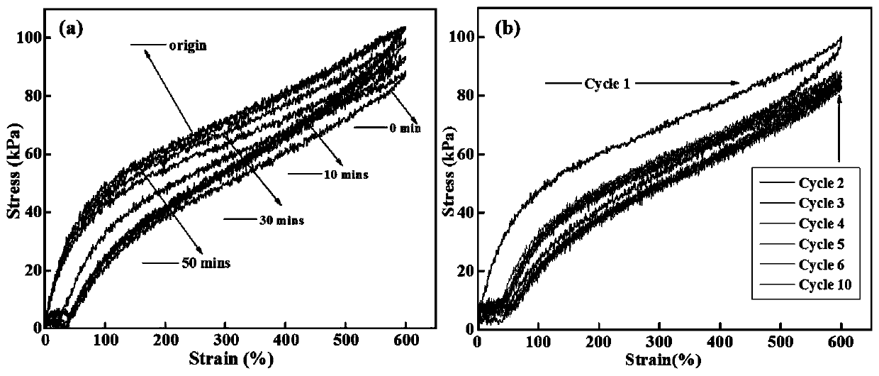 Chitosan/poly(acrylamide-acrylic acid)-Al3+ ionized hydrogel as well as preparation method and application thereof