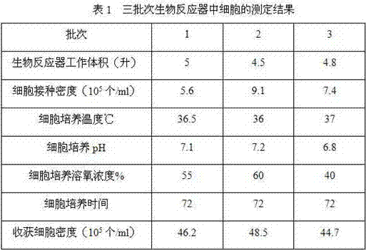 Cat kidney cell line F-81 S adaptive to full suspension cultivation, and applications thereof