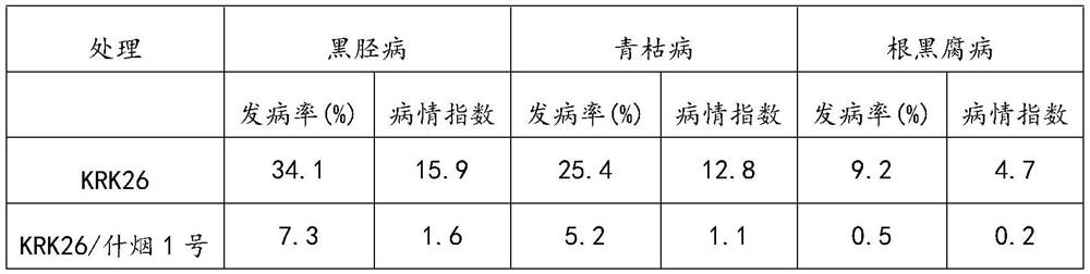 A kind of grafting cultivation method of tobacco