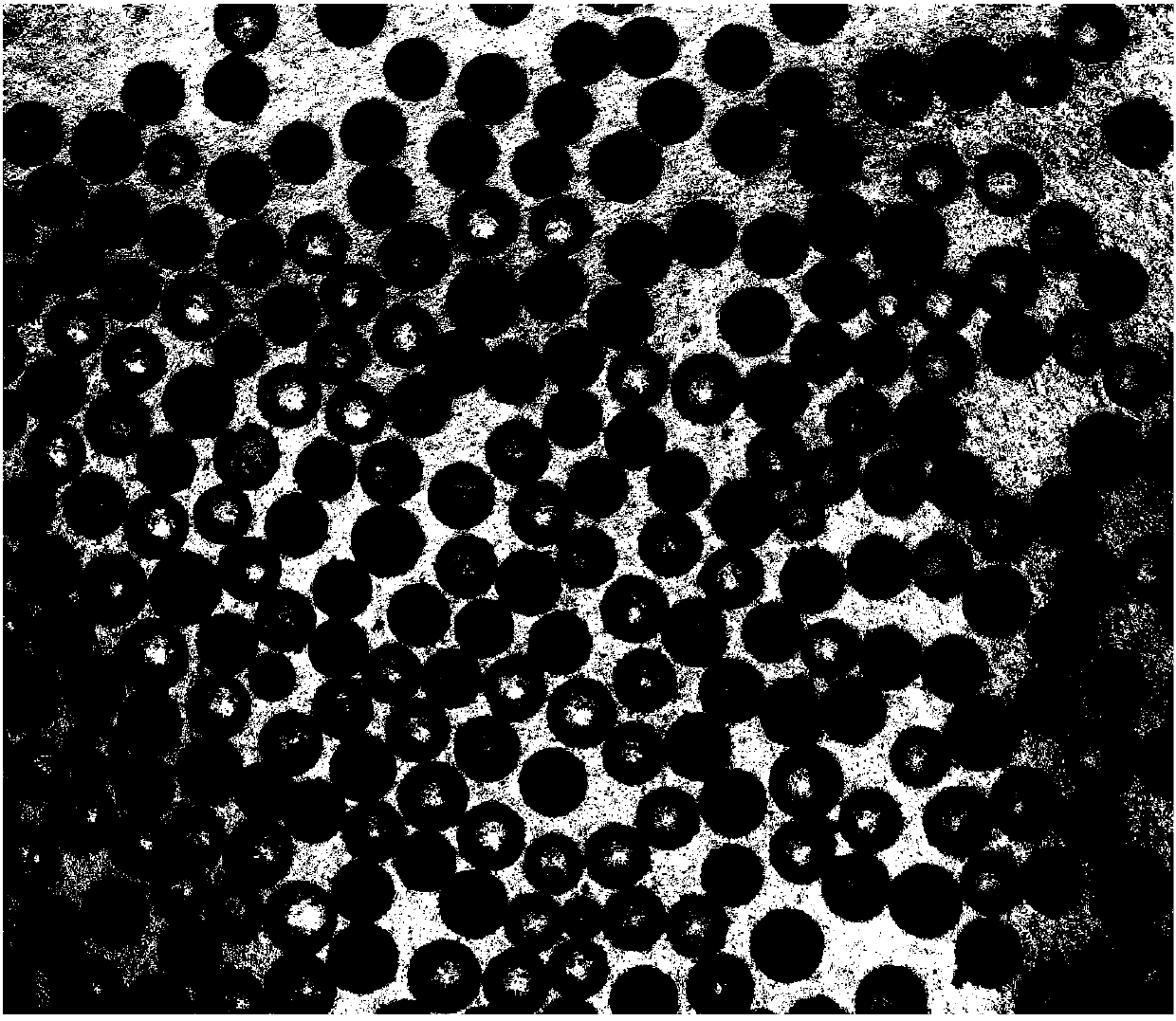 Predictive biomarker PD-L2 targeted polypeptide for tumor immunotherapy and application of predictive biomarker PD-L2 targeted polypeptide