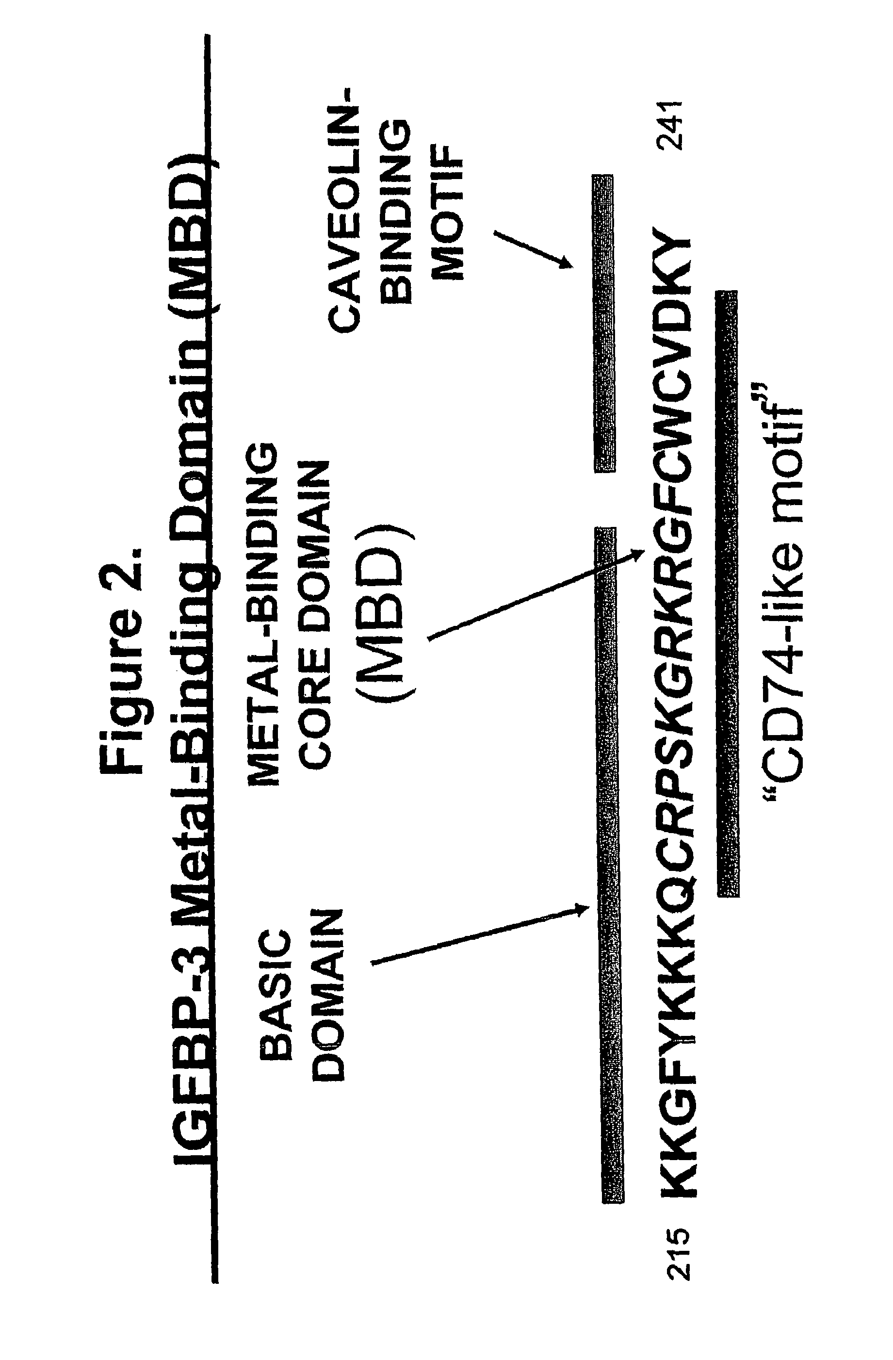 Metal-binding therapeutic peptides