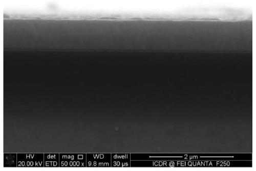 A kind of hosrmnni co-doped bismuth ferrite multiferroic thin film and preparation method thereof