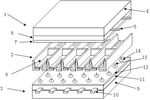 Shadow mask type plasma display panel