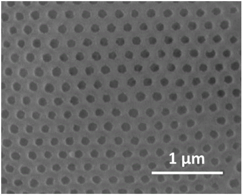 Contact lenses having photonic crystal structural color and manufacturing method thereof