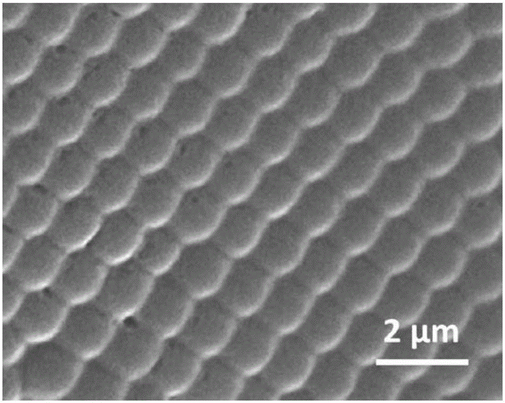 Contact lenses having photonic crystal structural color and manufacturing method thereof