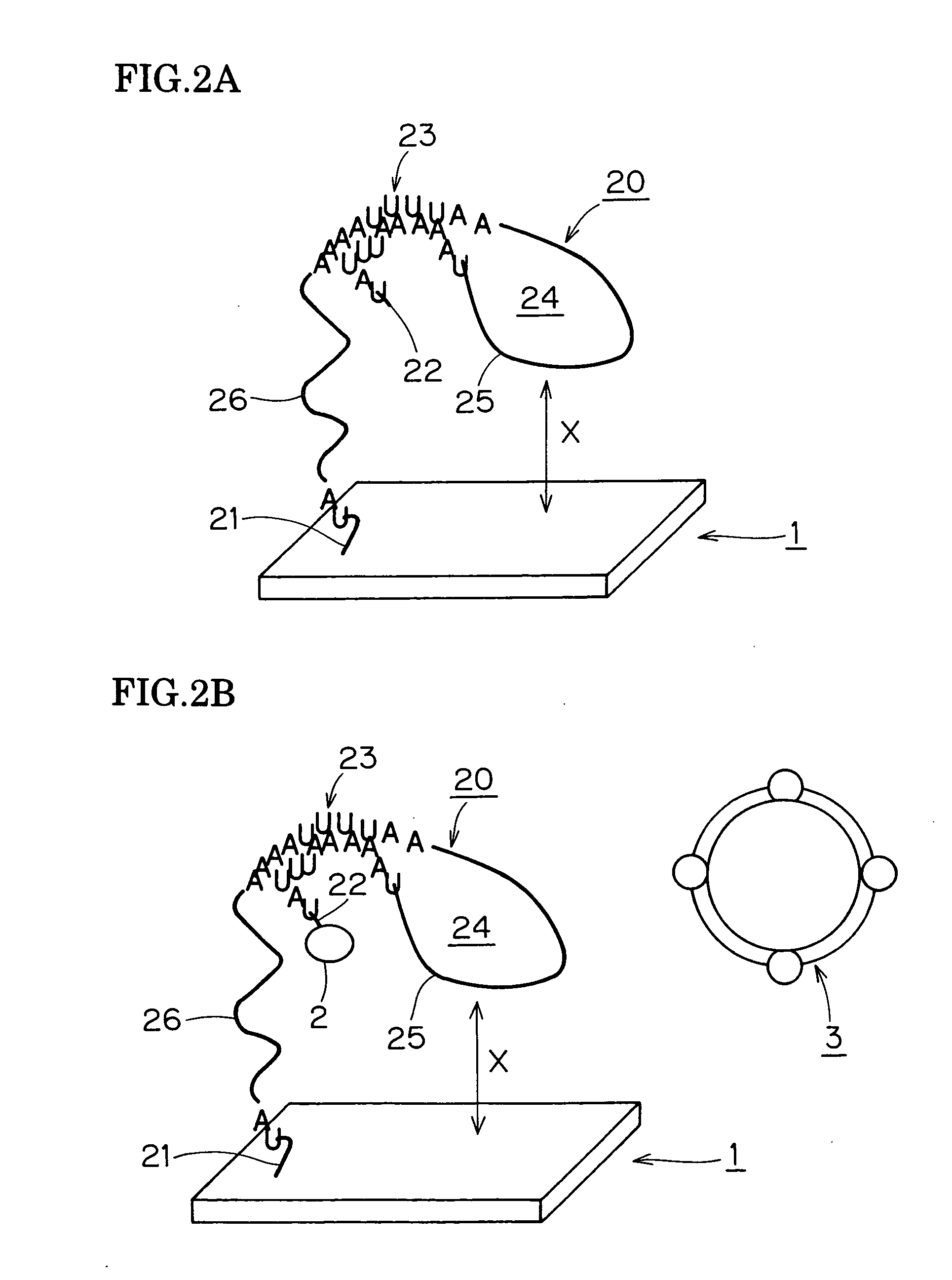 Method for detecting biochemical reactant biochip