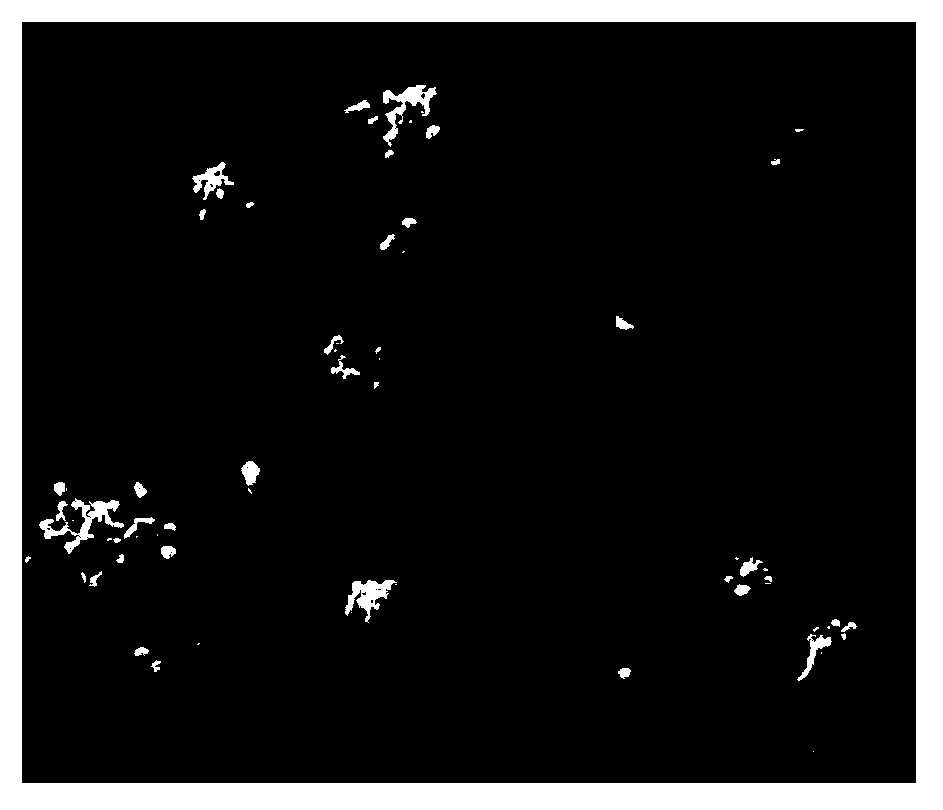 Phosphoryl choline polymer containing aldehyde group and preparation method and application thereof