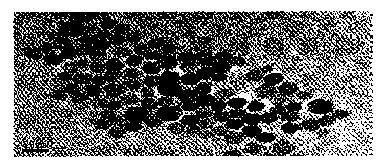 Dual mode luminous rare earth doped cerium fluoride nano crystal, preparation method and surface modification method thereof