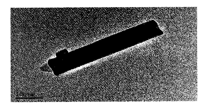 Dual mode luminous rare earth doped cerium fluoride nano crystal, preparation method and surface modification method thereof