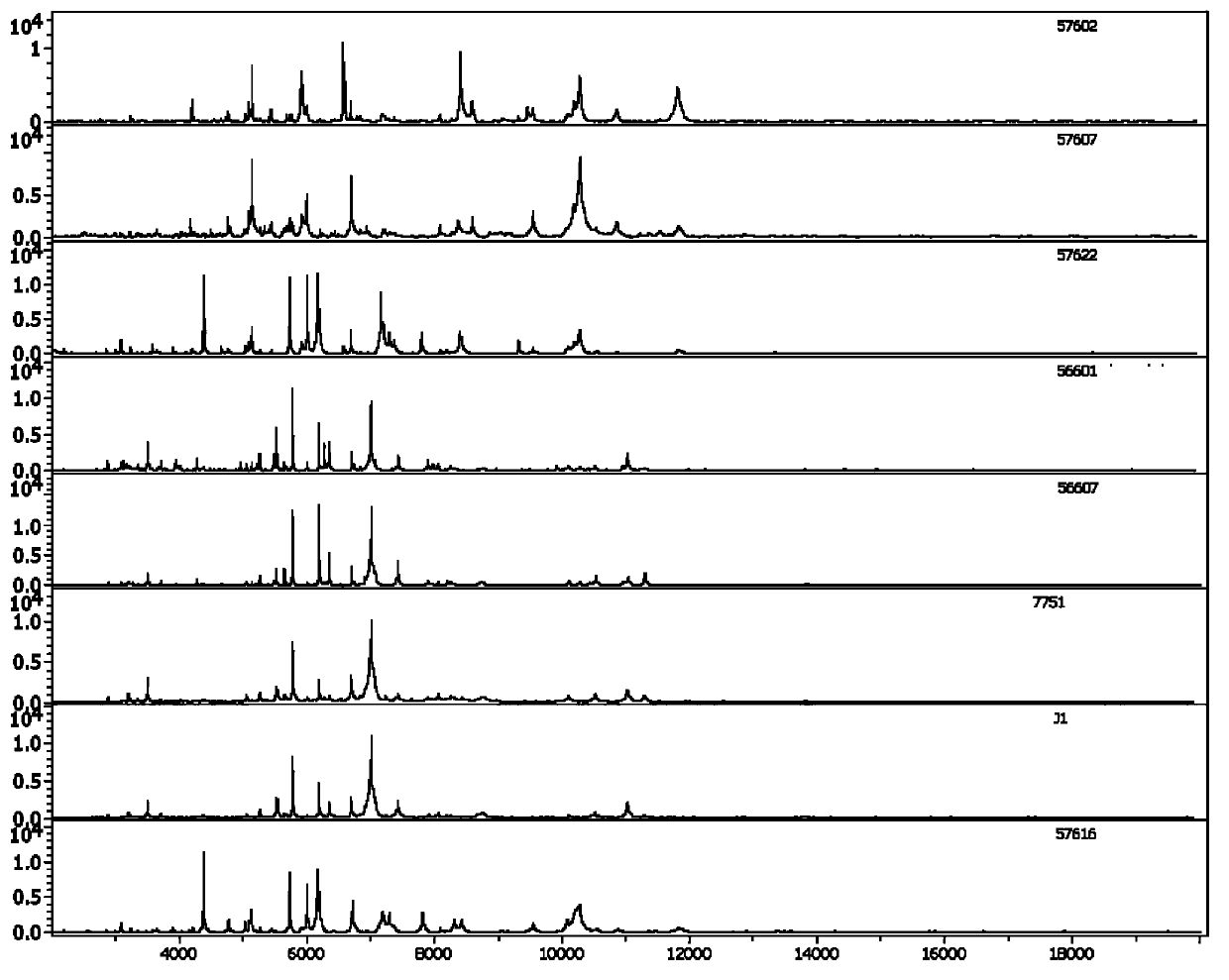 Kit for rapid mass spectrometric detection of leptospira