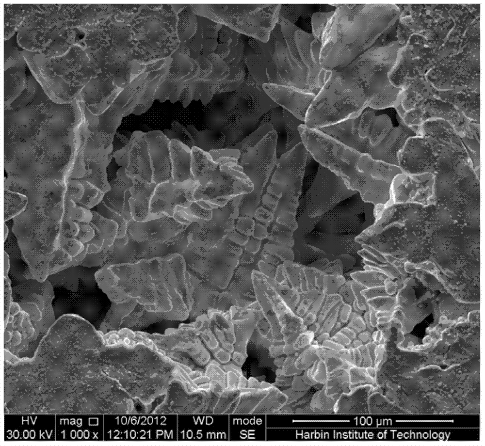 A grain refinement method of lead-tin alloy casting structure