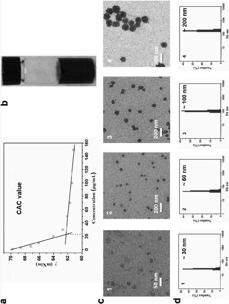 Perylene bisimide multifunctional nano particles with adjustable size and preparation method and application thereof