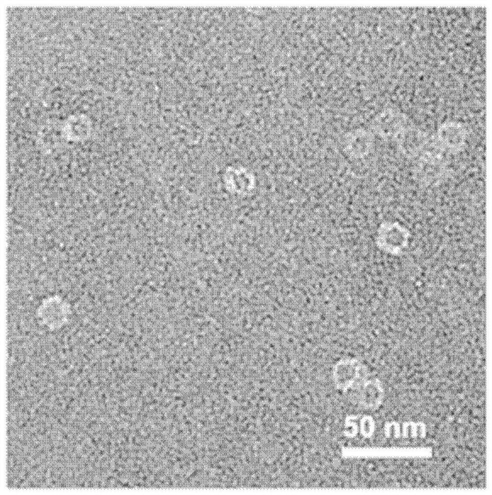 Ferritin photodynamic nanoreactor capable of automatically producing oxygen as well as preparation method and application of ferritin photodynamic nanoreactor