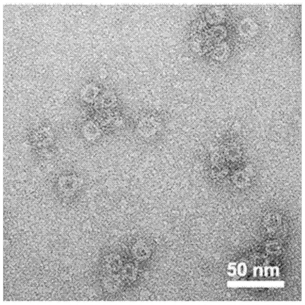 Ferritin photodynamic nanoreactor capable of automatically producing oxygen as well as preparation method and application of ferritin photodynamic nanoreactor