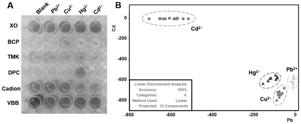 A rapid and accurate method for colorimetric detection of heavy metal ions