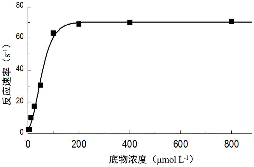 Application of pseudoalteromonas recombinant aminopeptidase