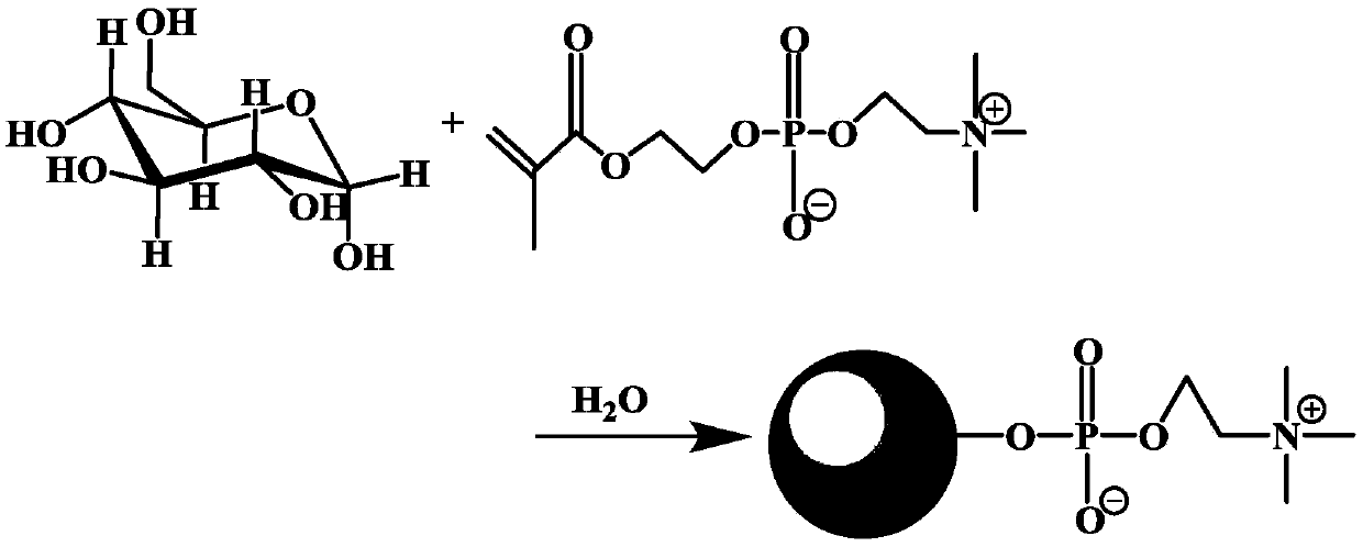 Zwitter-ion modified hydrophilic carbon spheres and preparation thereof, and applications in glycopeptide enrichment