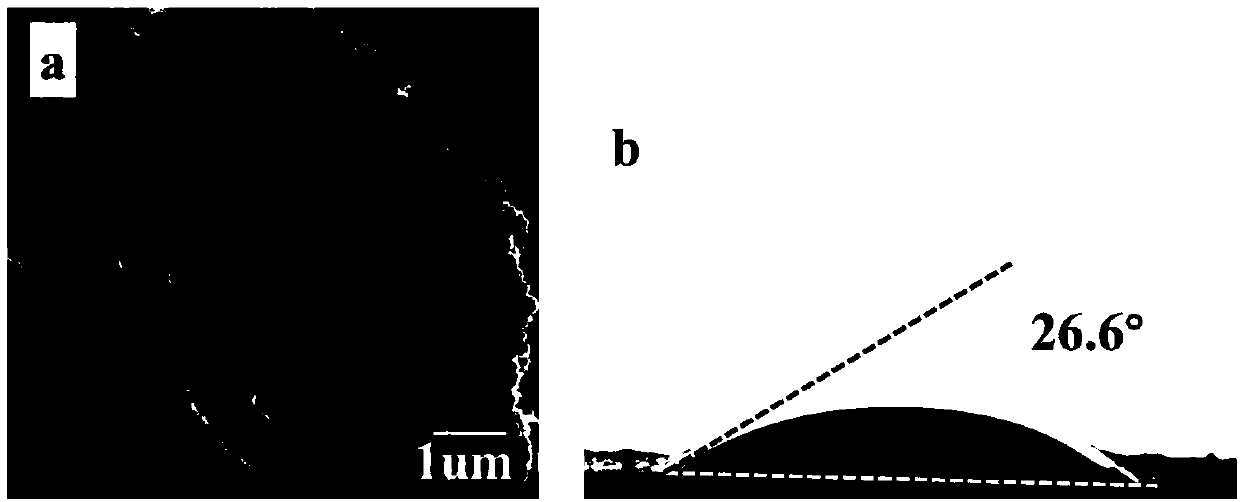 Zwitter-ion modified hydrophilic carbon spheres and preparation thereof, and applications in glycopeptide enrichment