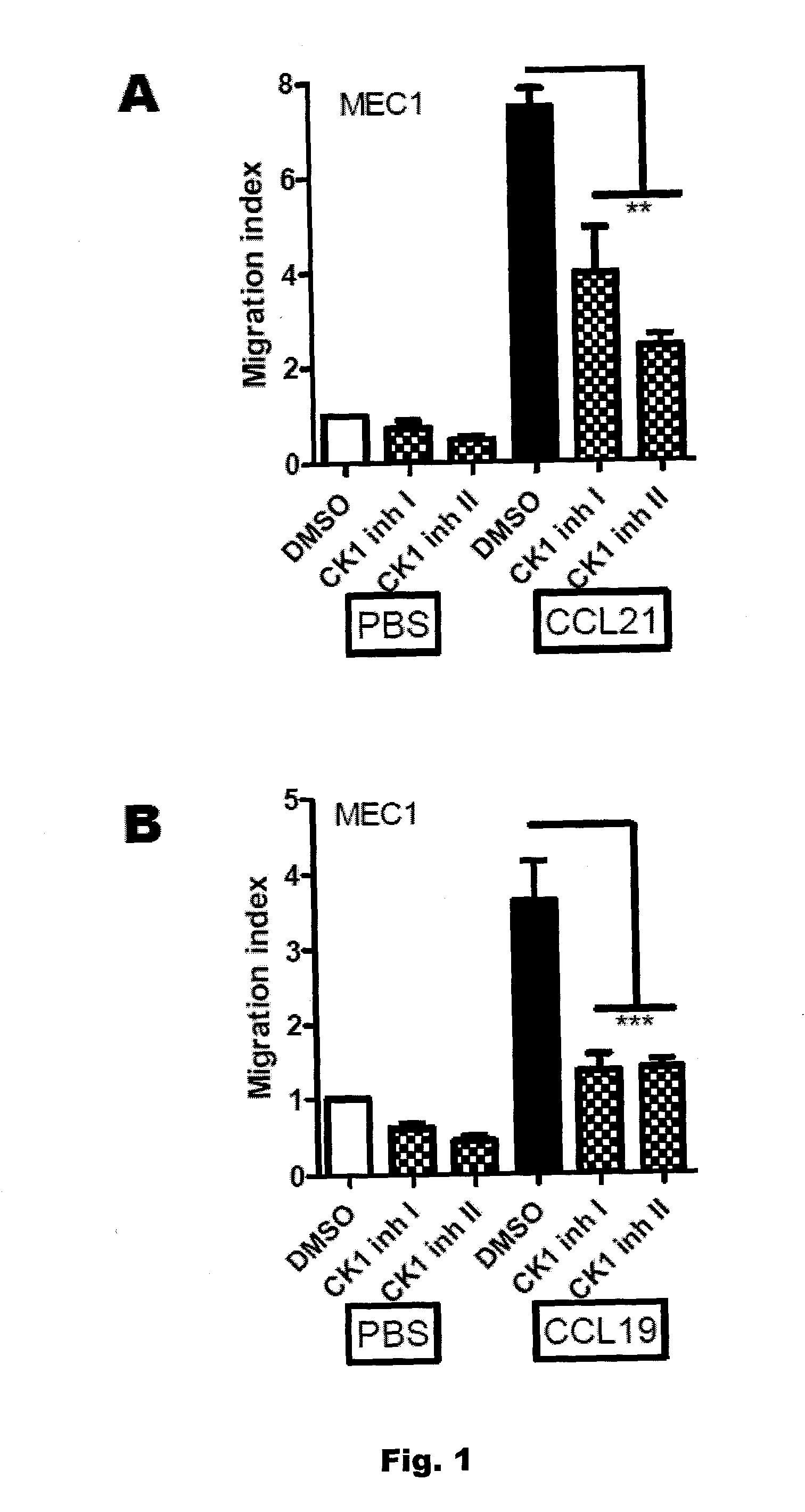 Casein kinase 1 inhibitors for the treatment of b-cell chronic lymphocytic|leukemia