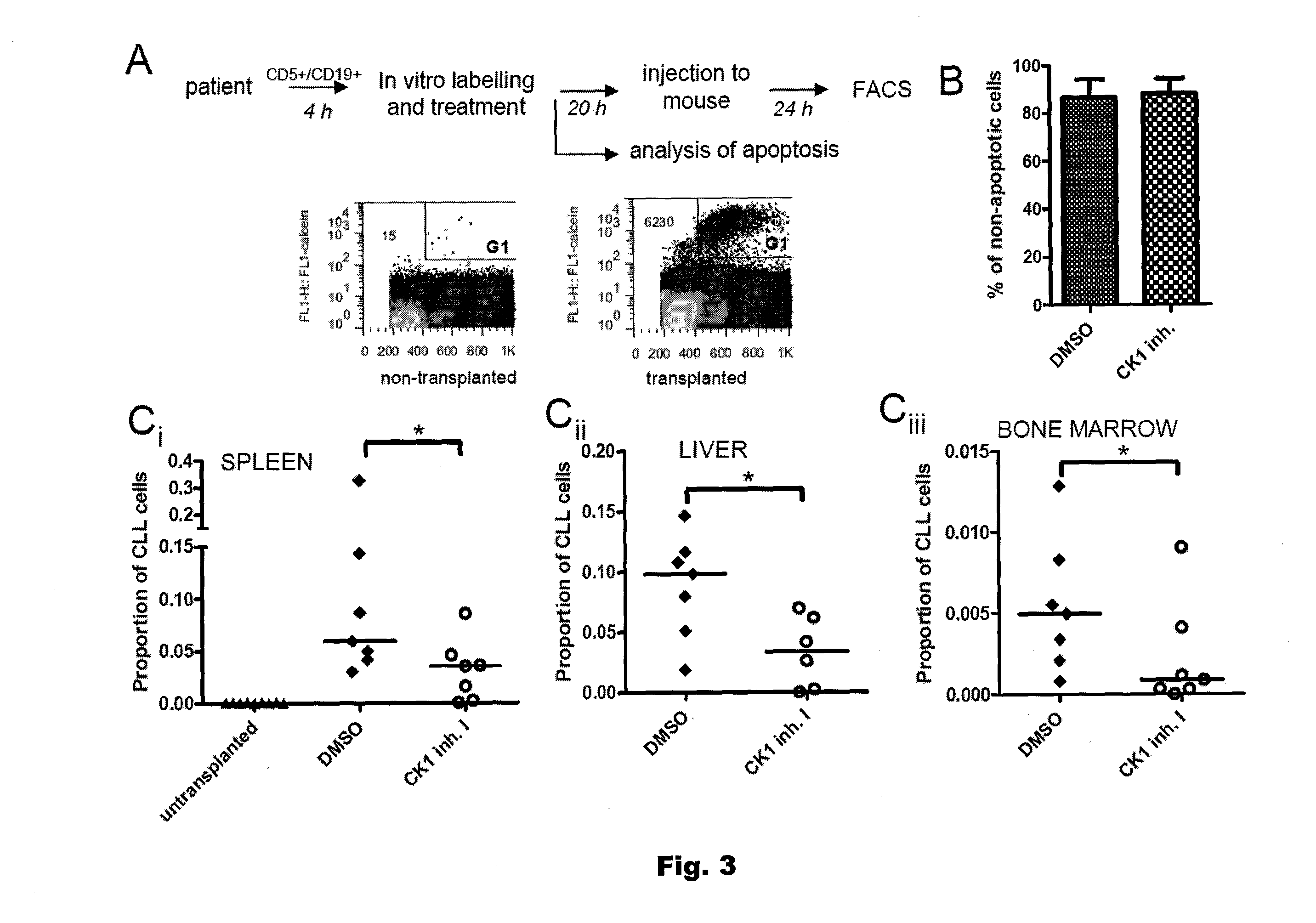 Casein kinase 1 inhibitors for the treatment of b-cell chronic lymphocytic|leukemia