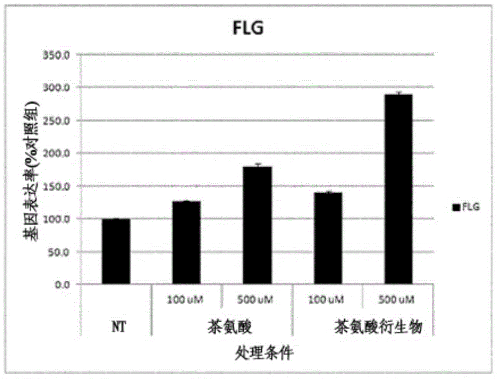 Topical composition containing theanine derivatives for use on skin