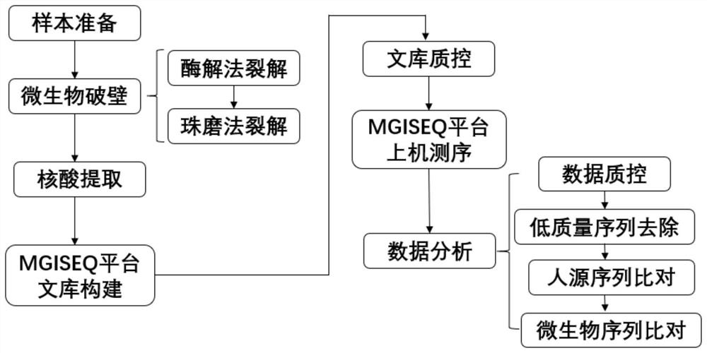 Microbial cracking method and kit thereof