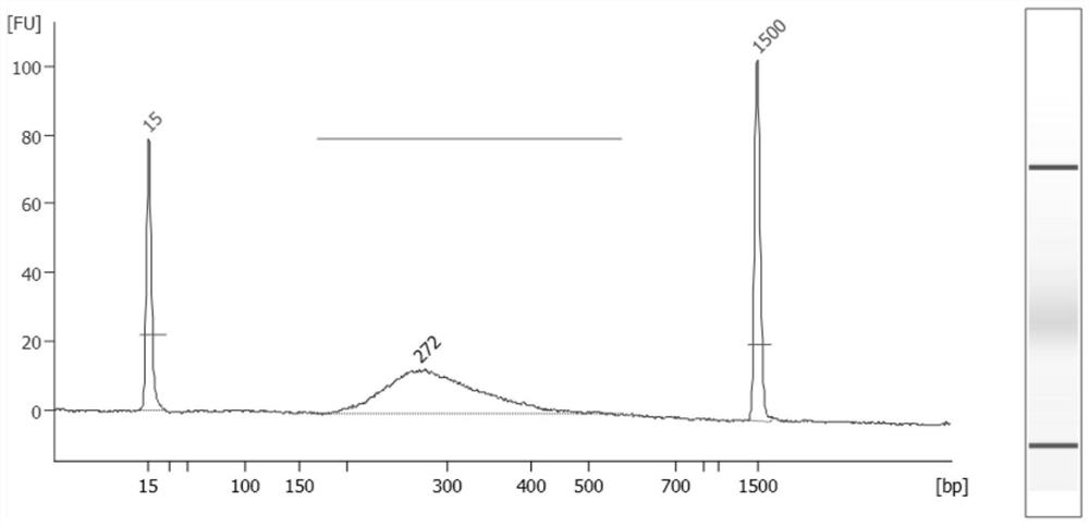 Microbial cracking method and kit thereof