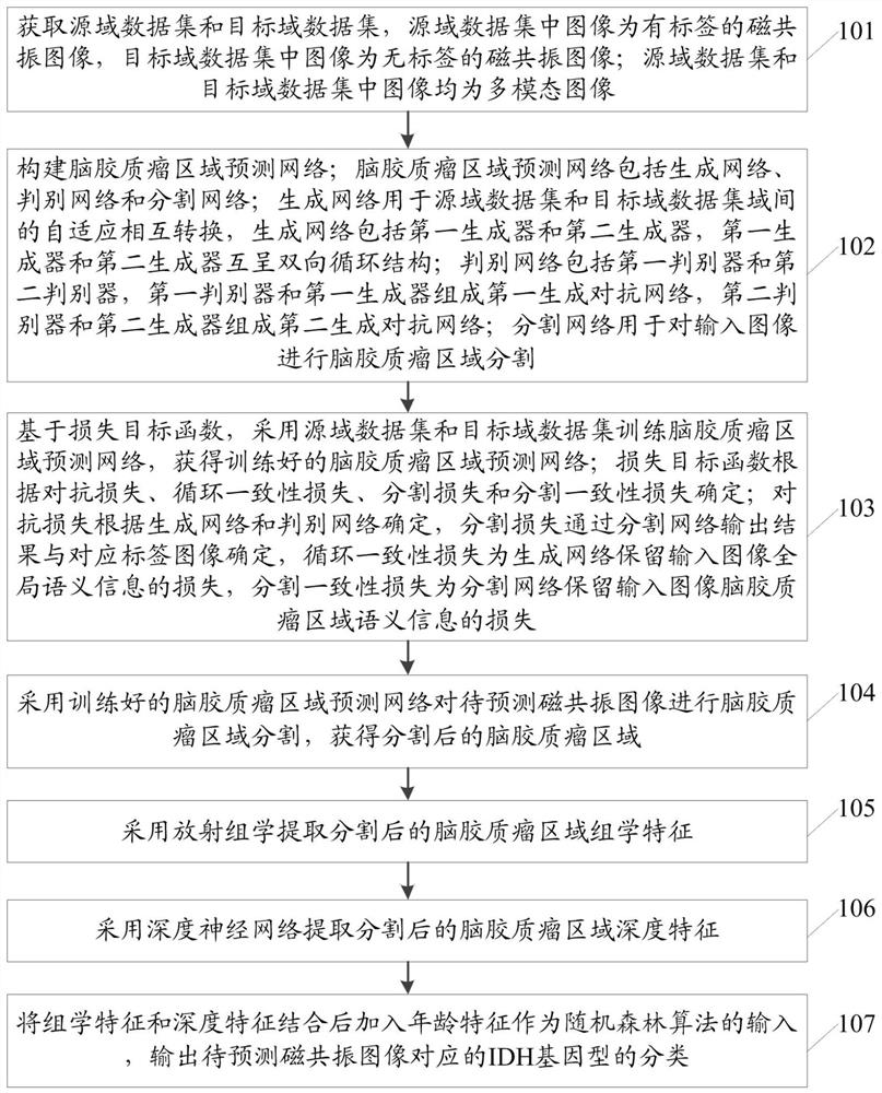 Magnetic resonance imaging brain glioma IDH gene prediction method and system