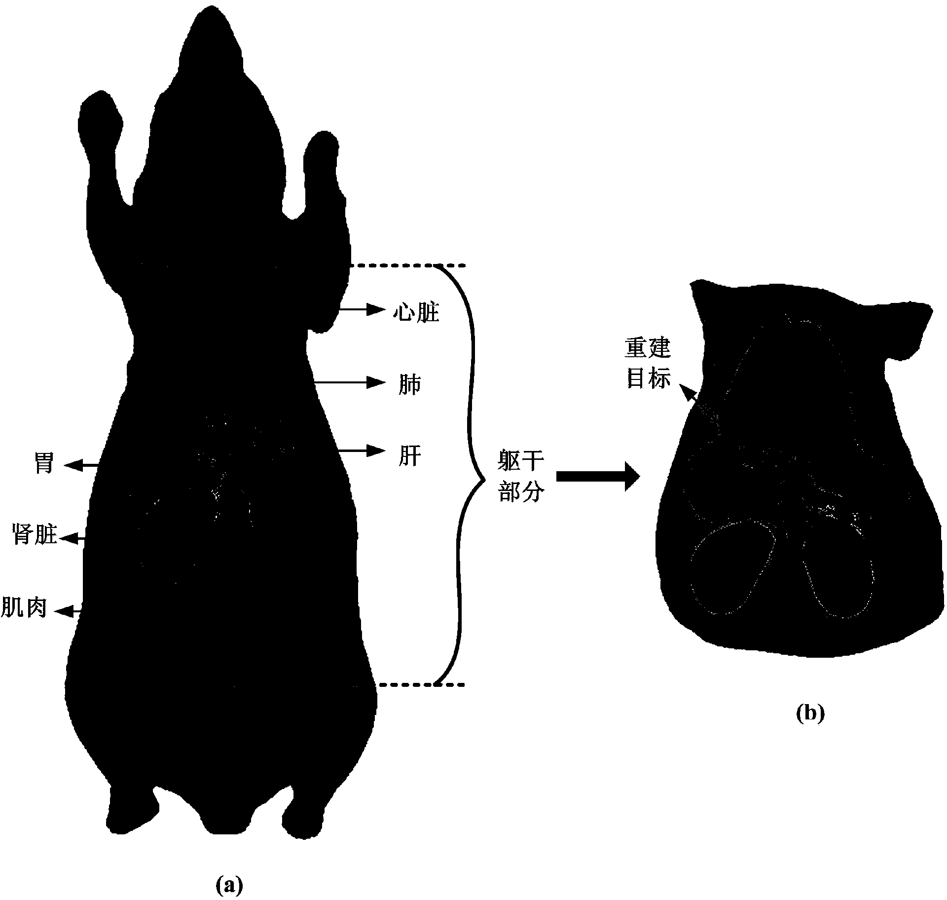 Fluorescence molecular tomography reconstruction method based on alternative iterative operation