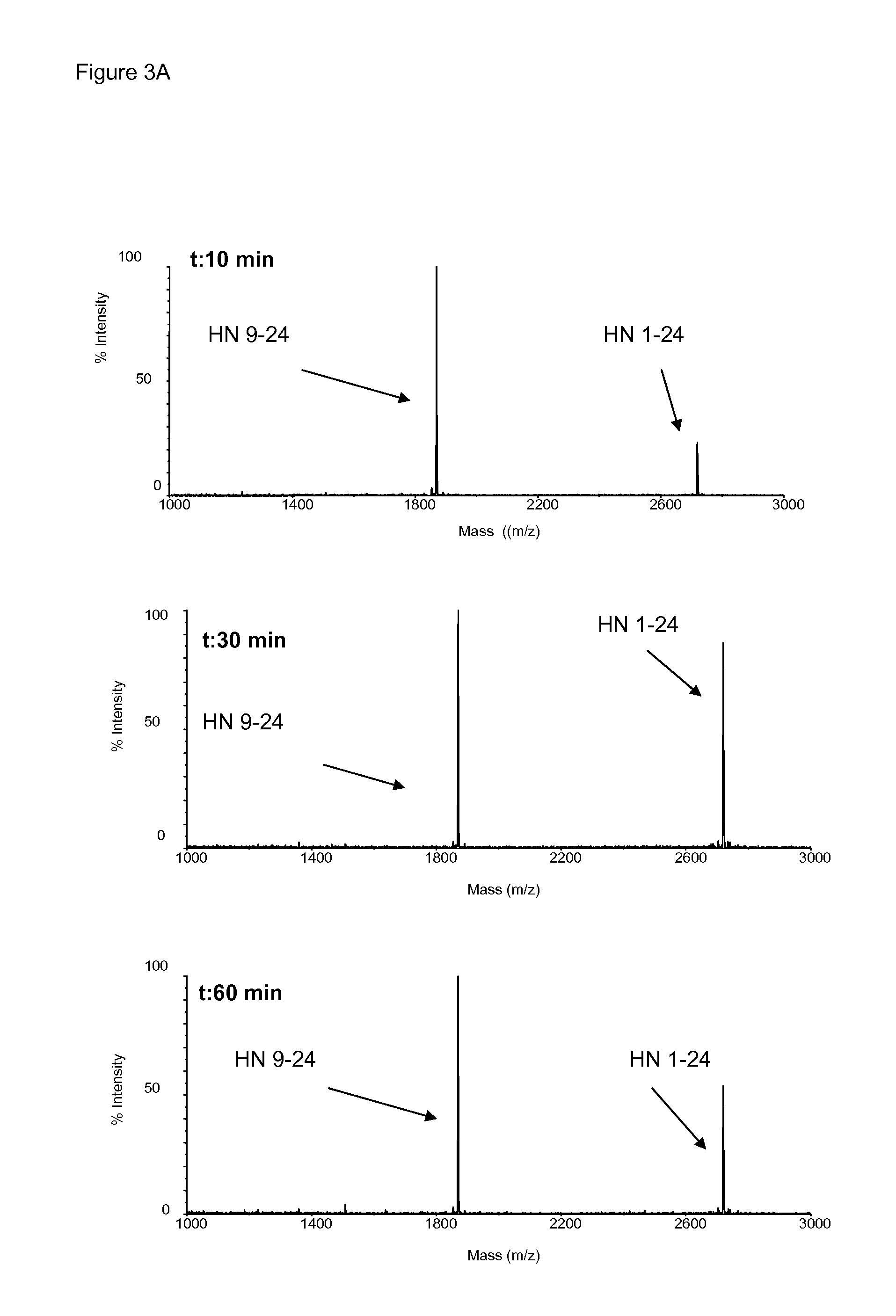 Novel compounds for the treatment of neurological disorders