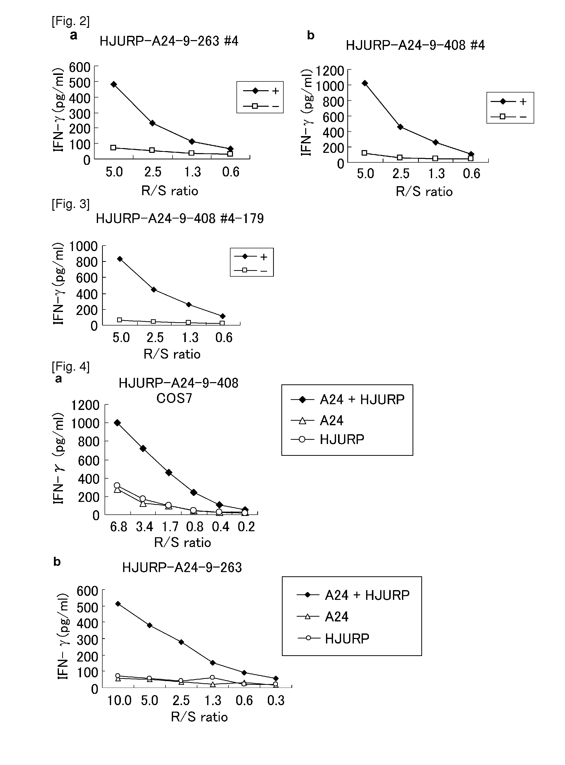 Hjurp peptides and vaccines including the same