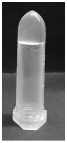 Rare earth nucleoside fluorescent hydrogel, preparation method and application in fluorescent coding