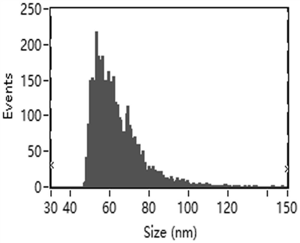 Application of exosome gene, prostate cancer detector, and detection kit and detection device thereof