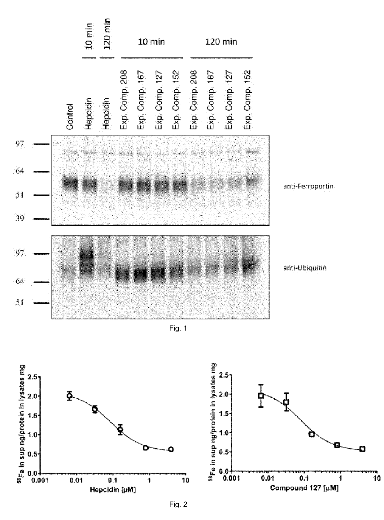 Ferroportin inhibitors