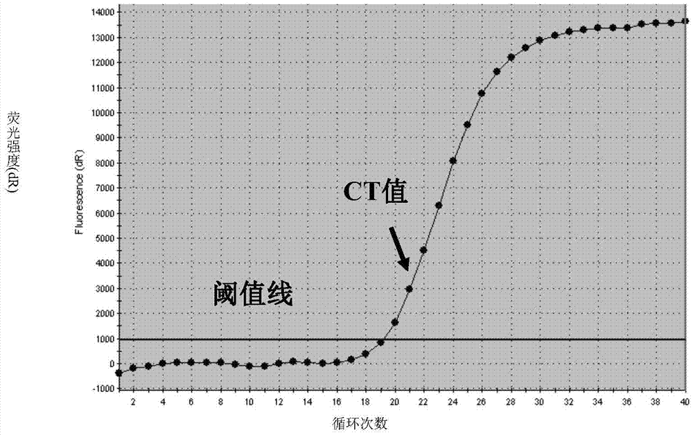 Human parainfluenza virus I, II, III, and IV-type quadruple-PCR detection kit, and detection method thereof