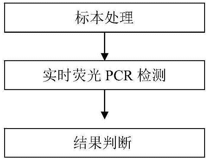 Human parainfluenza virus I, II, III, and IV-type quadruple-PCR detection kit, and detection method thereof