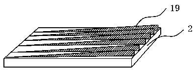 Automatic squid cleaning device