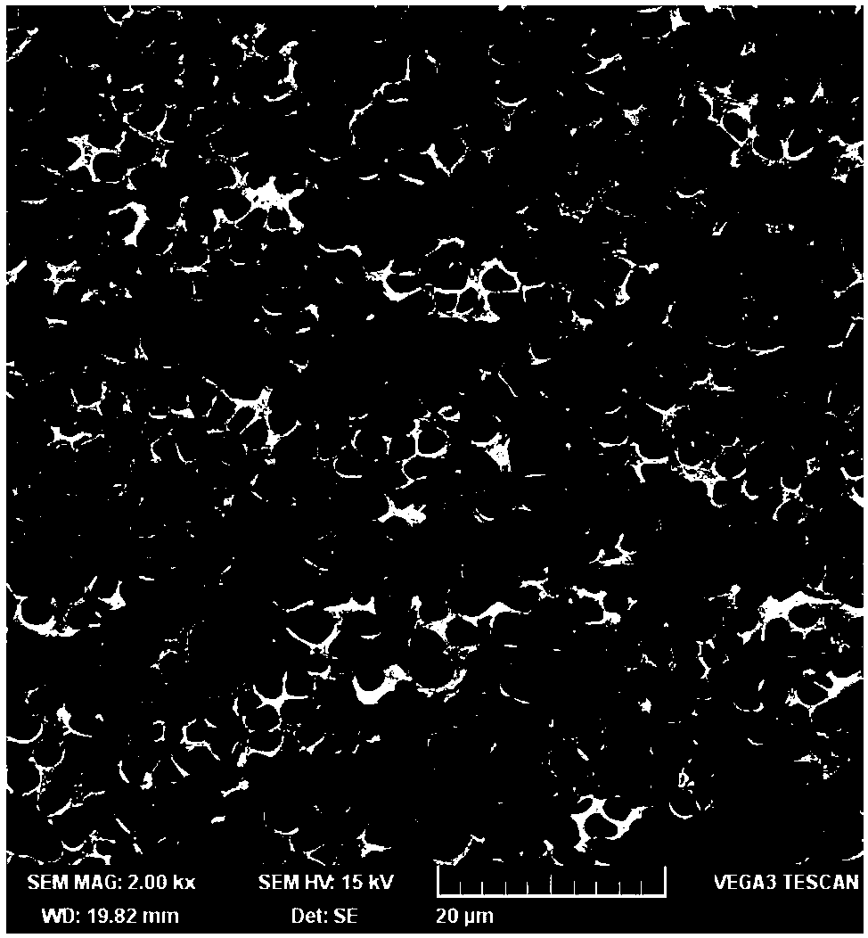 Application of ion liquid block polymer in supercritical carbon dioxide microcellular foaming