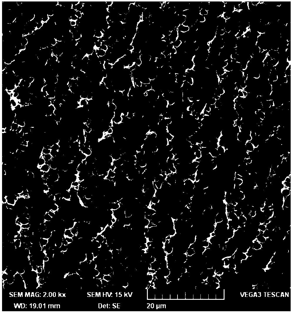 Application of ion liquid block polymer in supercritical carbon dioxide microcellular foaming